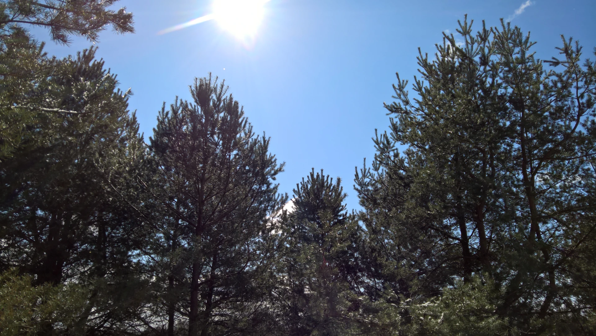 Taken on Microsoft Lumia 950 XL
